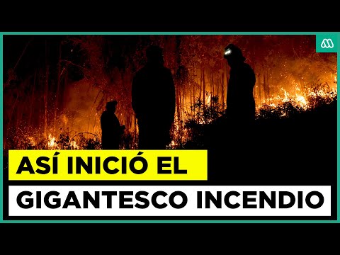 Una cocinilla en mal estado: Así habría partido el gigantesco incendio en Penco