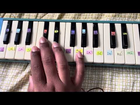 Tenho Uma Candeia - ESCALETA