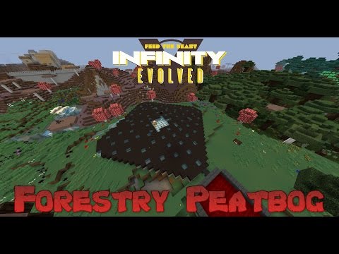 FTB Infinity Evolved - Forestry Multifarm Peatbog Setup