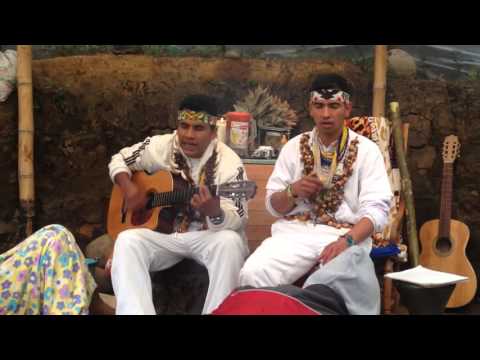 Taita Henrry Muchavisoy - Musica medicina