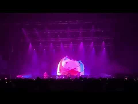 Sunset Rollercoaster - My Jinji - (Live in Hong Kong 2023)