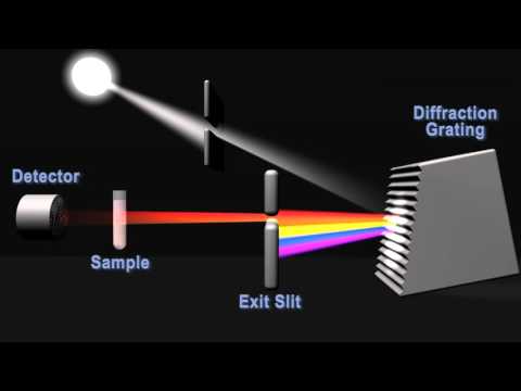 How does a spectrophotometer work
