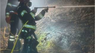 Monte Brione in fiamme, i vigili del fuoco al lavoro tutta la notte per contenere il rogo che ha ...