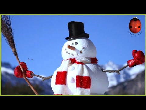 Snow Fly 🎅 Minuscule ⛄️ 55' Compilation
