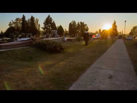 Palic cemetery   01 11 2015