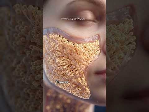 Magda Toledo-6