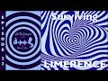 E23 SURVIVING LIMERENCE