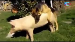 [問卦] 精神疾病要多嚴重才可以免役？