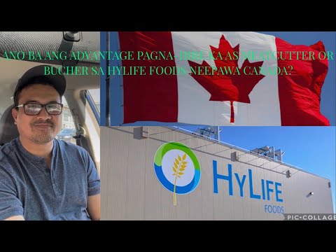 NUMBER ONE ADVANTAGE PAGNA-HIRE KA AS MEATCUTTER  NG HYLIFE FOODS NEEPAWA 🇨🇦