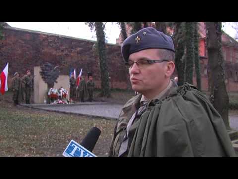 Zorski newsroom 28 03 2017