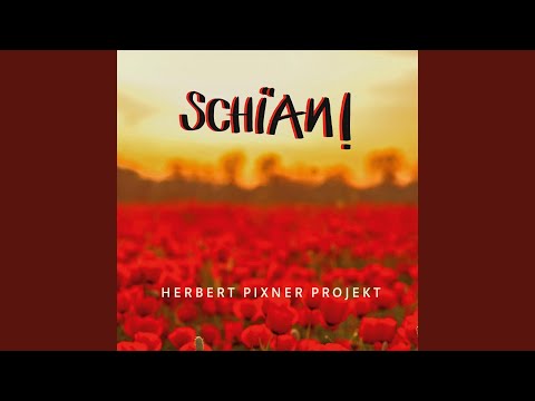 Teufelstanz (feat. Alessandro Trebo)