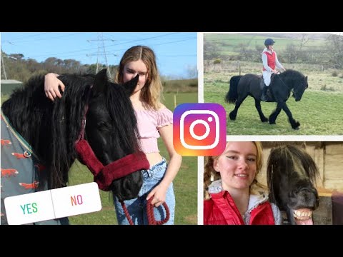 INSTA CONTROLS MY DAY WITH MY HORSE|TheFellPony