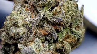 🍎🥧Apple Cobbler !!🍎🥧#rise #exotic #zaza #asmr #flower #strainreview #weed #florida