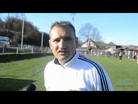 Declaratie Viorel Lolea