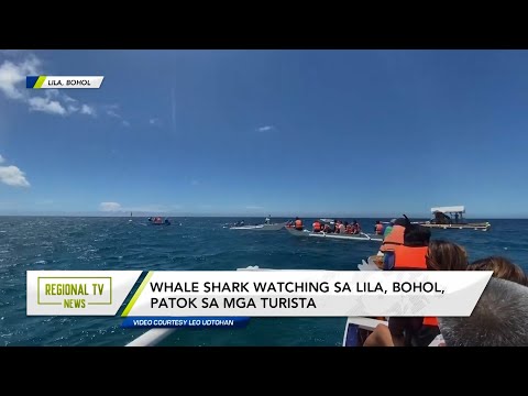 Regional TV News: Whale shark watching sa Lila, Bohol, patok sa mga turista
