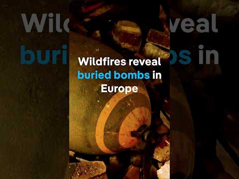 European wildfires reveal buried bombs from WW1 and WW2 | DW News
