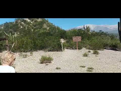 Un día domingo a pleno sol paseando por famatina.. La Rioja..
