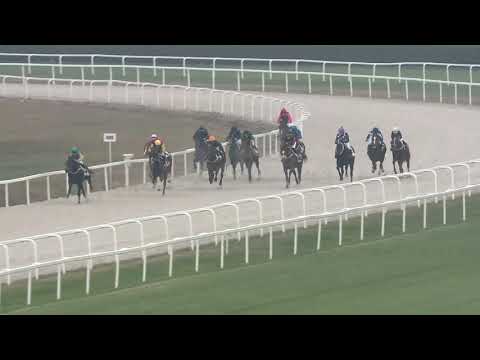 2018.11.11. 08. futam - CHANTILLY HENDIKEP (V/b.) (szintetikus pálya)