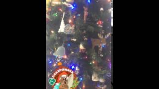 A Very Merry California #1HappyHoliday