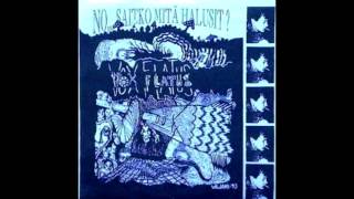 Vox Flatus - Villihevosia