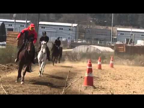 BTS TWITTER UPDATE 160401