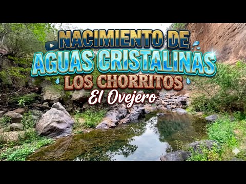 Nacimiento de aguas cristalinas en El Ovejero Progreso Jutiapa Guatemala. Los Chorritos 