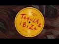 Bob Sinclar & BESH - Tequila & Ibiza (Official Visualizer)