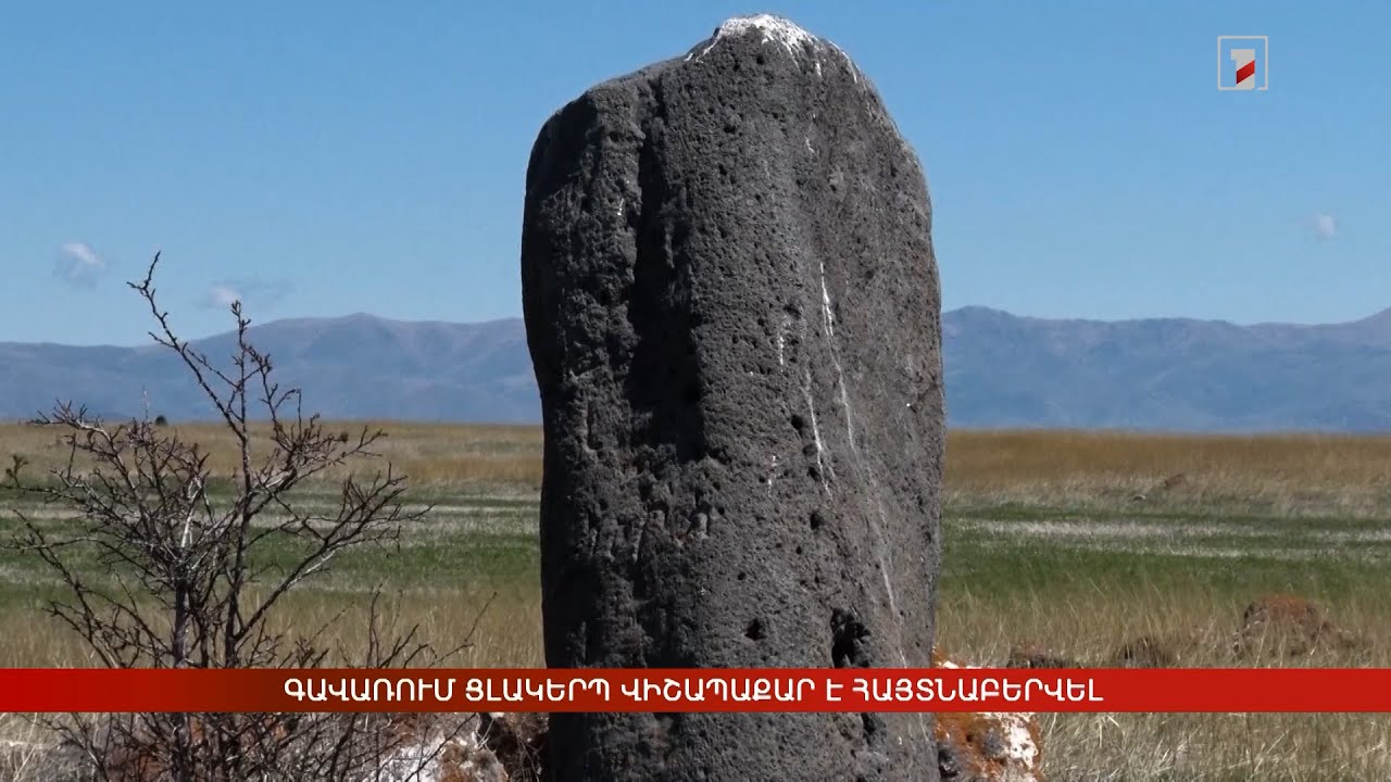 Գավառում ցլակերպ վիշապաքար է հայտնաբերվել