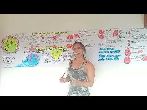 P. 3 / Video 1 IMMACULATE CONCEPTION ❤️