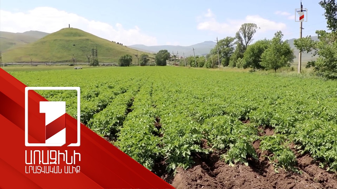 Պետությունն անվճար փորձաքննության է ենթարկում գյուղնշանակության հողերը
