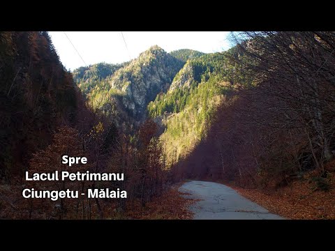 Lacul Petrimanu | Traseu montan turistic | România | Munții Latoriţei | Munții Căpățânii