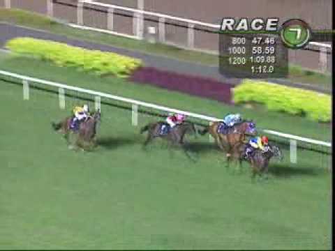 THREE RINGS TROPHY 29/01/10 - BETTER THAN EVER