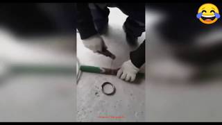 ЛУЧШИЕ СМЕШНЫЕ ПРИКОЛЫ: