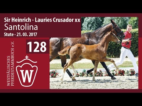128 Santolina  Stute v. Sir Heinrich - Lauries Crusador xx