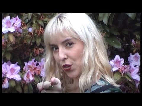 Taylah Carroll - Novelty Seeker (Official DIY Video)