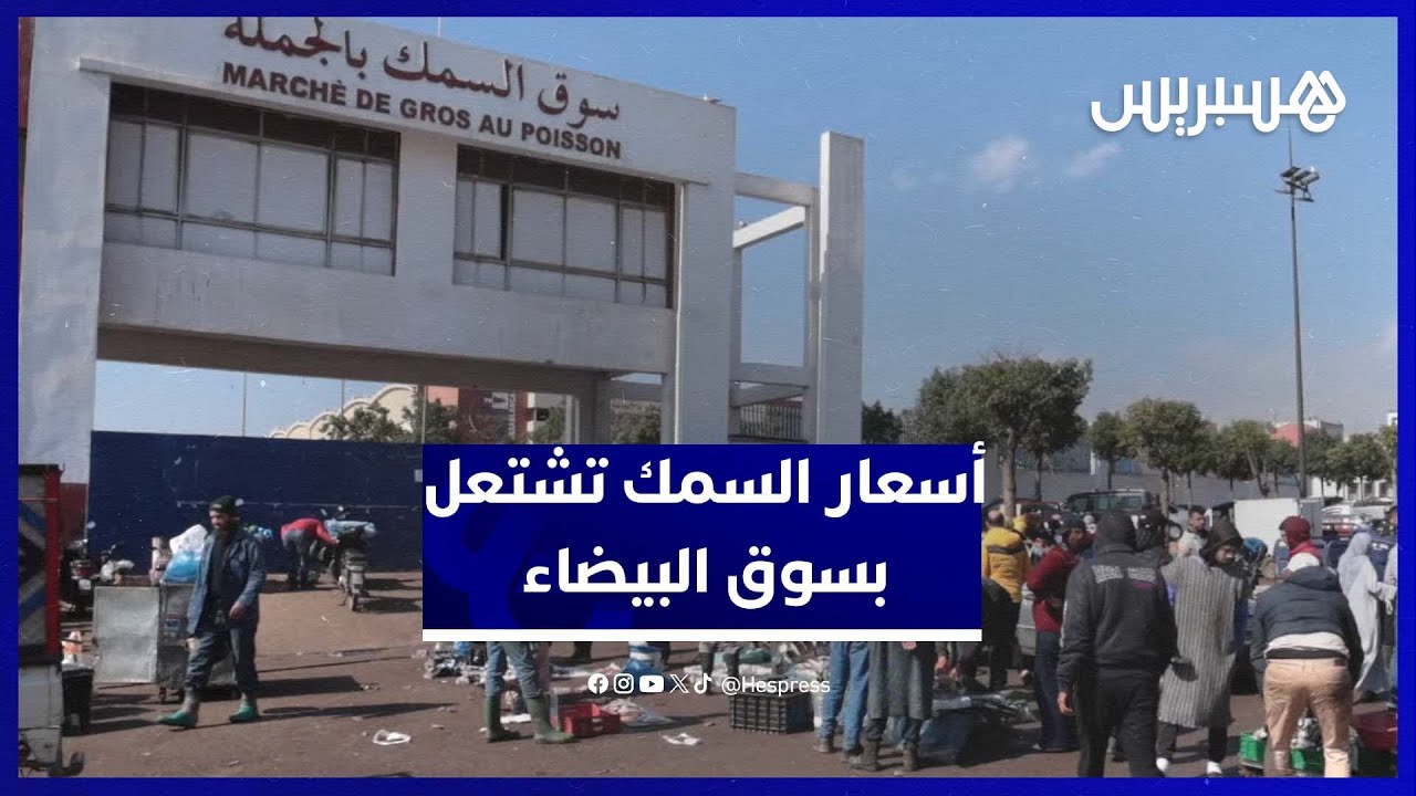 "الشناقة" والخروقات يشعلون الأسعار في  سوق السمك بالجملة الدار البيضاء thumbnail