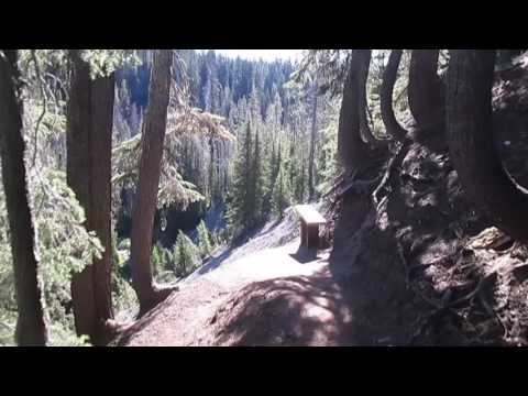 Walking on the Annie's Creek Trail.  