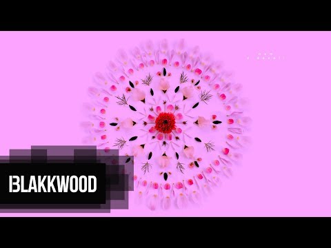 Protiva - Osm z deseti