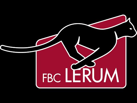 Guldpartner till FBC-Lerum