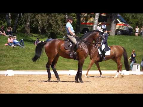 Isabell Werth Schooling Stand By Me at 2017 Pferd International