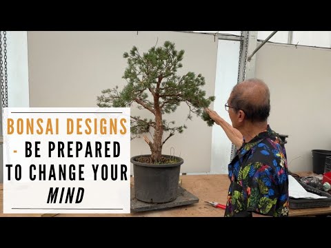 Bonsai Design Decisions - A healthy mind is one that can change