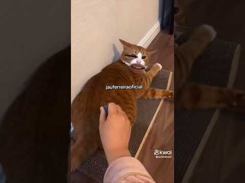 20 de novembro de 2023