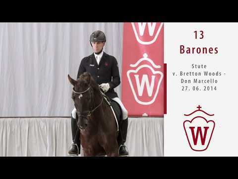 13  Barones  Stute v. Bretton Woods - Don Marcello