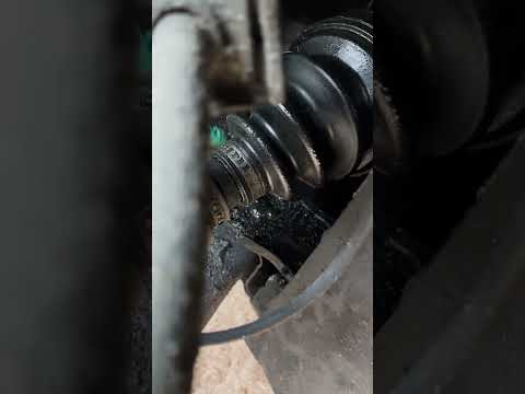IMG 1218