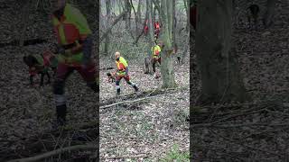 Drückjagd - Fehlschüsse inklusive von  ⁨@hunterbrothersofficial⁩