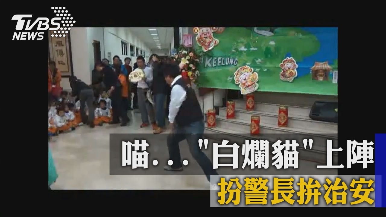 白爛貓上陣 扮警長拚治安