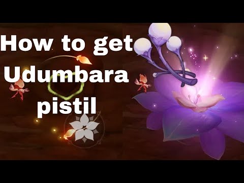 How To Get Udumbara - Genshin Impact