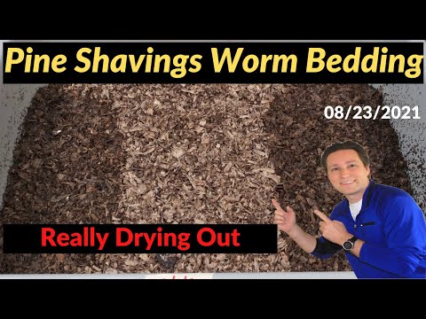 Pine Shavings Bin Drying Out 8/23/2021