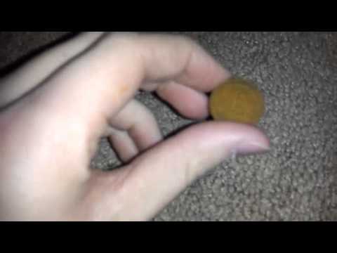 Searching through coins