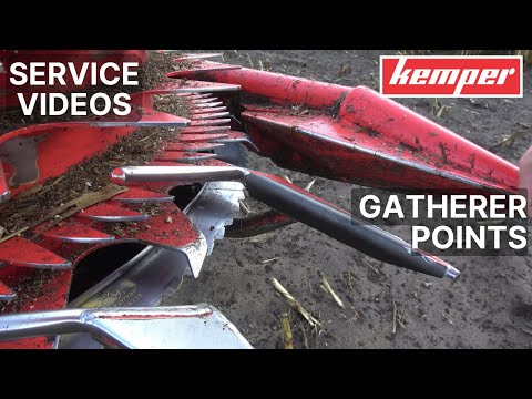 All you need to know about gatherer points - English